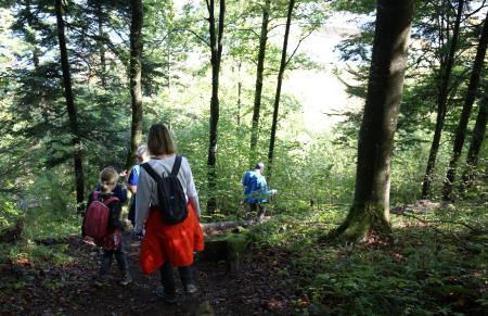 POHOD OD ŠTEBERKA DO KARLOVICE 11 FOTO LJUBO VUKELIČ